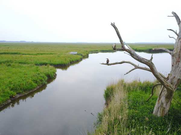 zomerdijk
