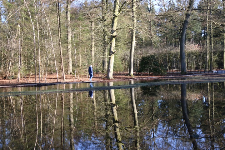 spiegeling in het water